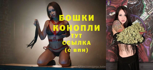 ECSTASY Костерёво
