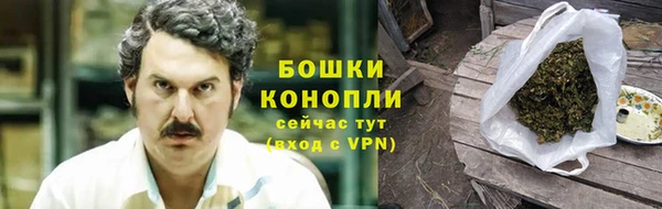 ECSTASY Костерёво
