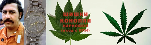 ECSTASY Корсаков