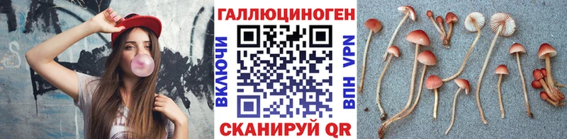 Купить закладки  Алупка  Галлюциногенные грибы Magic Shrooms 